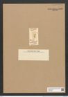 Plagiogramma atomus Grev. (de-Toni-Nr.: Genus 83, Species 2933) Zeichnungen Sammlung Grunow Nr. 5927 (NHMW-BOT-W0374392)